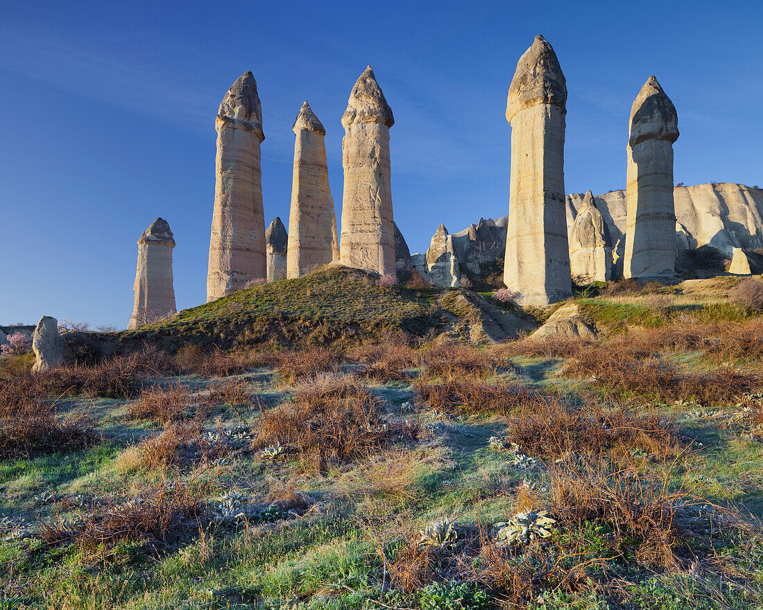 Weinreben und Feenkamine in Liebestal, Tuffstein, Nationalpark Göreme, UNESCO Weltnaturerbe, Kappadokien, Anatolien, Türkei