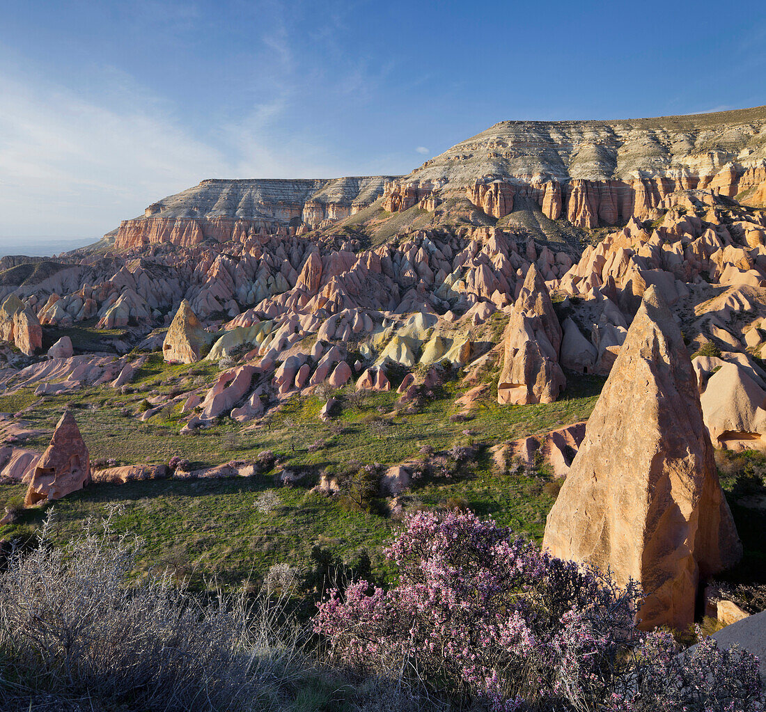 Tuffstein Erosion im Rosental, nahe Göreme, Nationalpark Göreme, UNESCO Weltnaturerbe, Kappadokien, Anatolien, Türkei