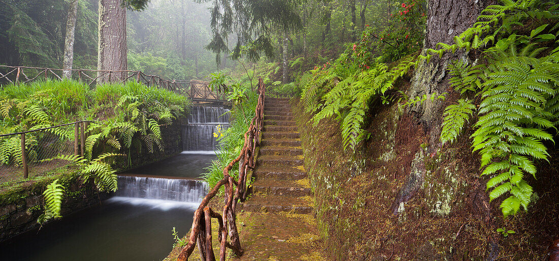 Bach und steineren Stiegen bei Caldeirao Verde, Queimadas Naturpark, Madeira, Portugal