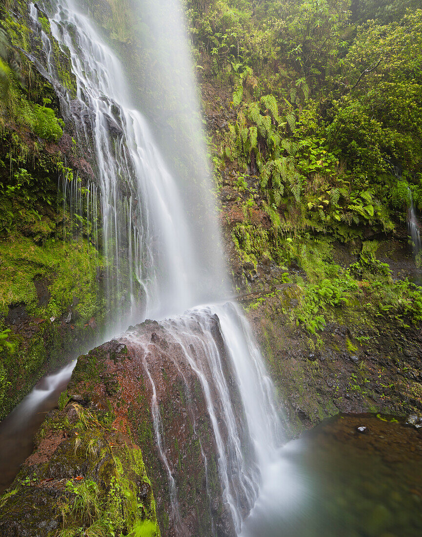 Levada and waterfall near Caldeirao Verde, Queimadas Forest Park, Madeira, Portugal