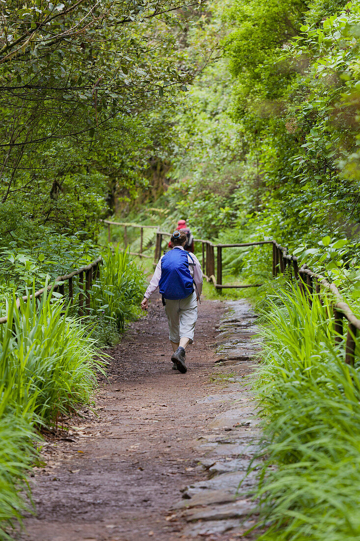 Wanderer bei Caldeirao Verde, Queimadas Naturpark, Madeira, Portugal
