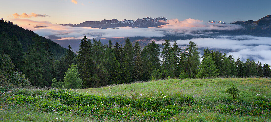 View over Sole valley towards Brenta Massive in the morning light, Brenta Adamello Nature Reserve, Trentino, Italy