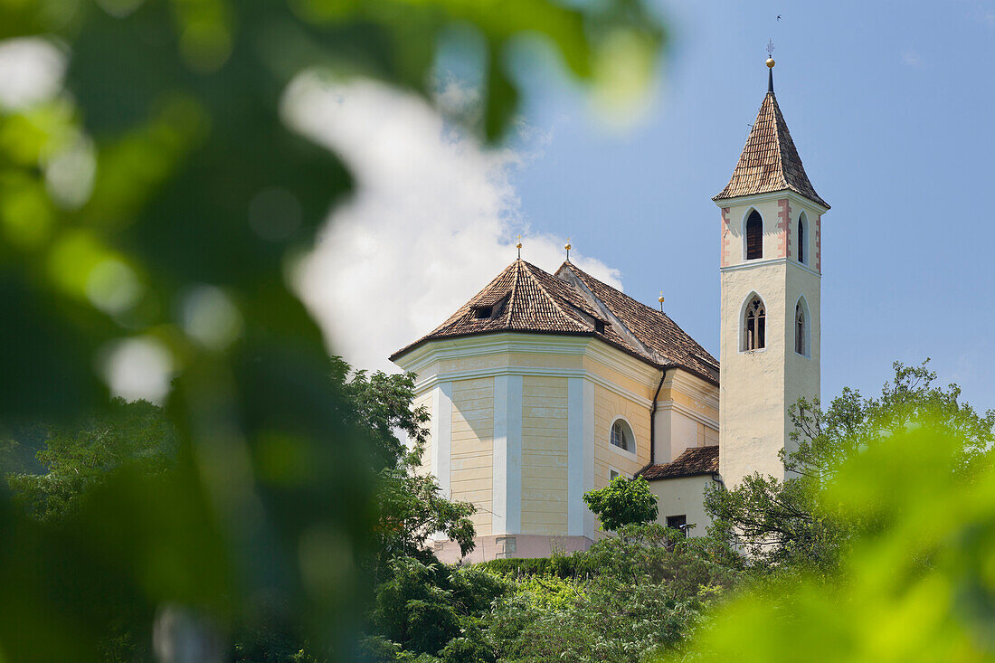 Kirche von Missiano, Weinreben, Trentino, Italien