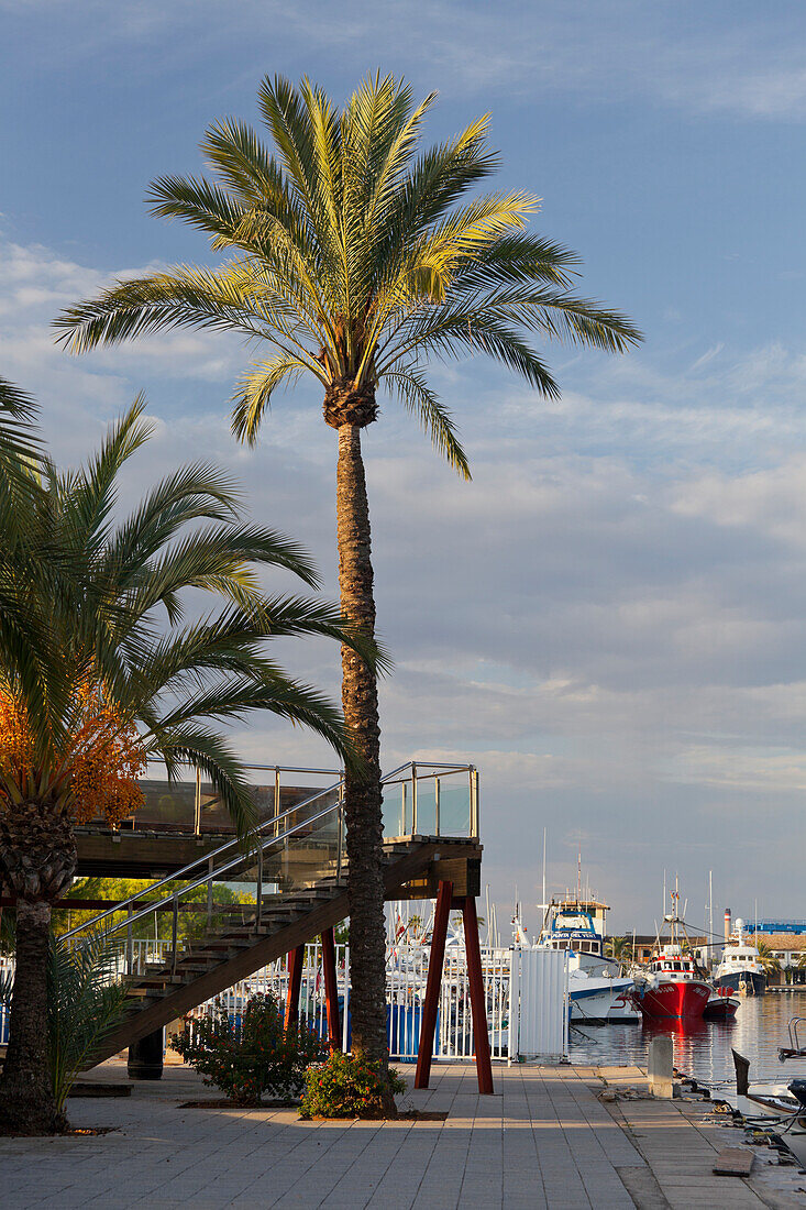 Yachthafen, Port d Alcudia, Alcudia, Mallorca, Spanien