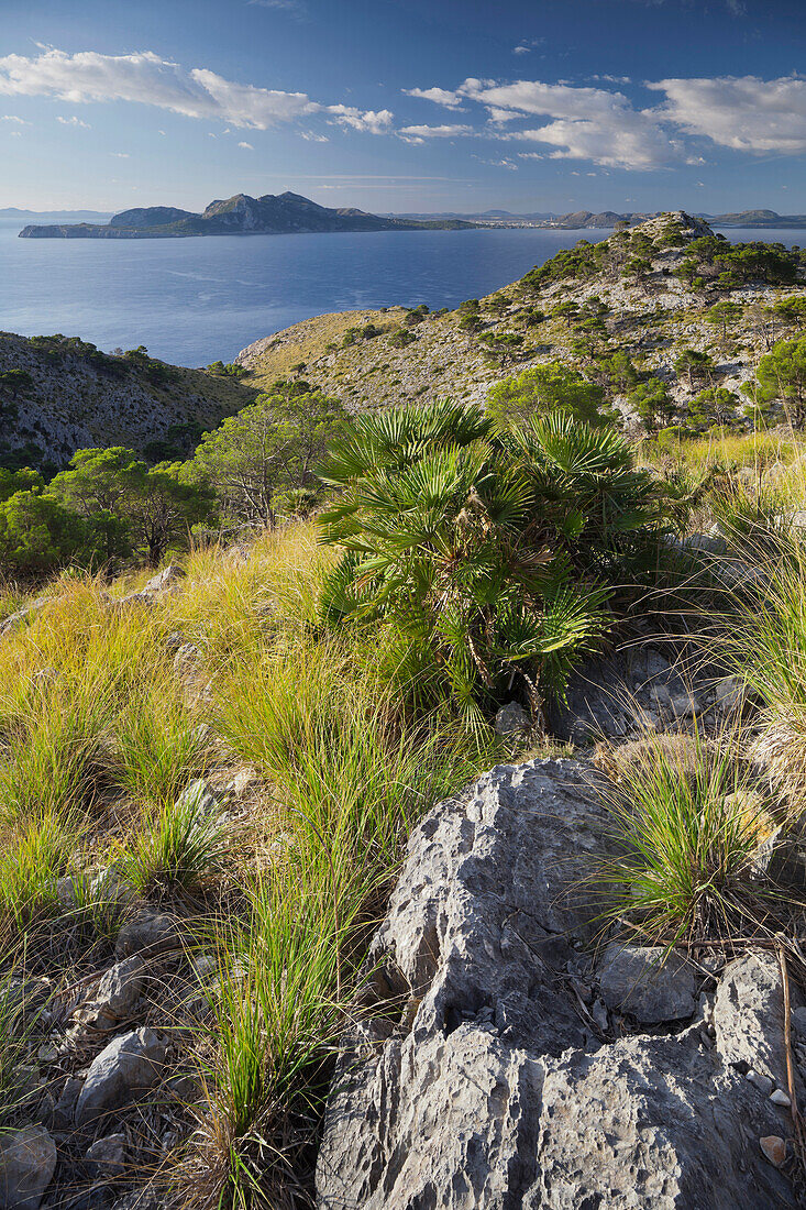 Blick vom Cap de Formentor über die Bucht von Pollenca, Mallorca, Spanien