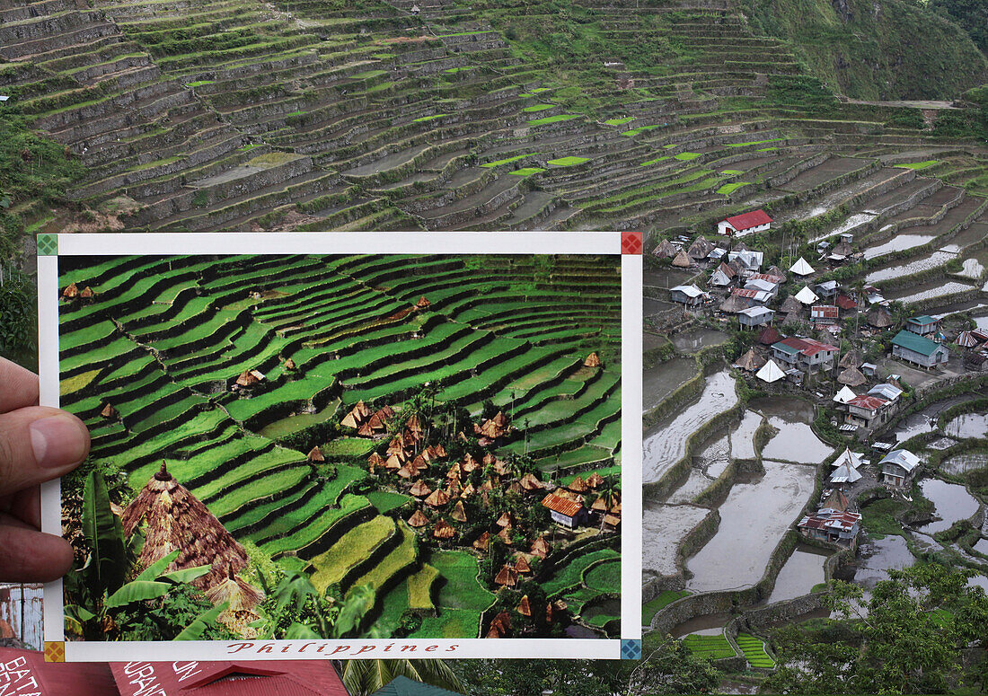 Eine Person zeigt Postkarte mit dem Dorf Batad im Jahr 1990 das zum UNESCO Weltkulturerbe gehört mit echtem Dorf im Hintergrund, Banaue, Ifugao, Insel Luzon, Philippinen