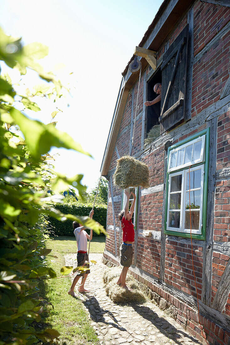 Father and sons bringing in the hay, Klein Thurow, Roggendorf, Mecklenburg-Western Pomerania, Germany