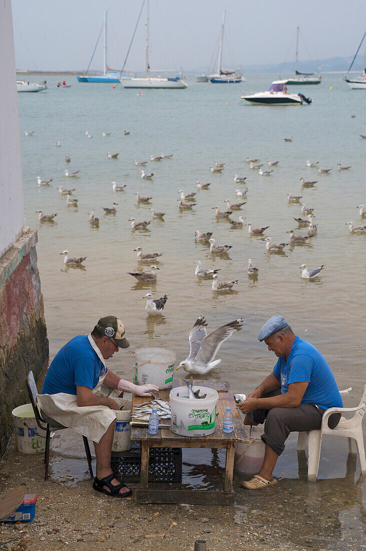 Fischer sortieren am Morgen den Fang an der Lagune Ria de Alvor, Alvor, Algarve, Portugal, Europa