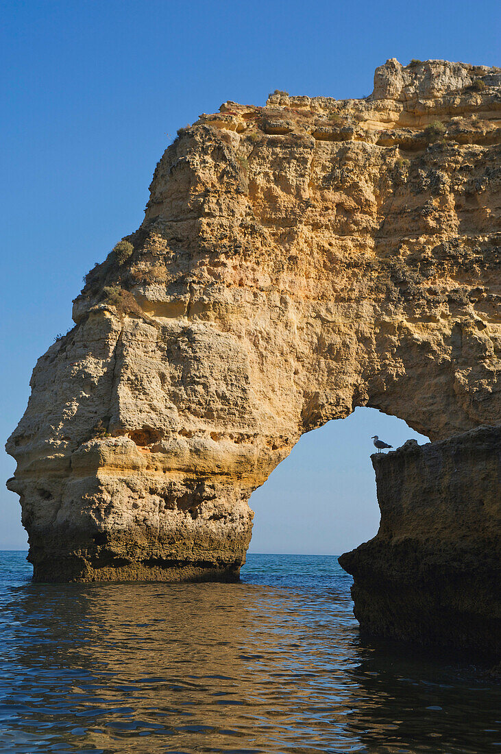 Felsformation an der Praia da Marinha, Algarve, Portugal, Europa