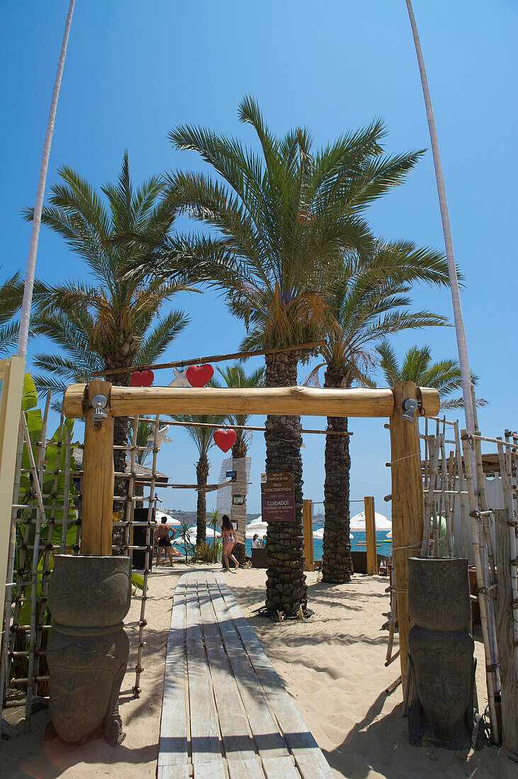 Palmen in Strandclub an der Praia da Rocha, Portimao, Algarve, Portugal, Europa