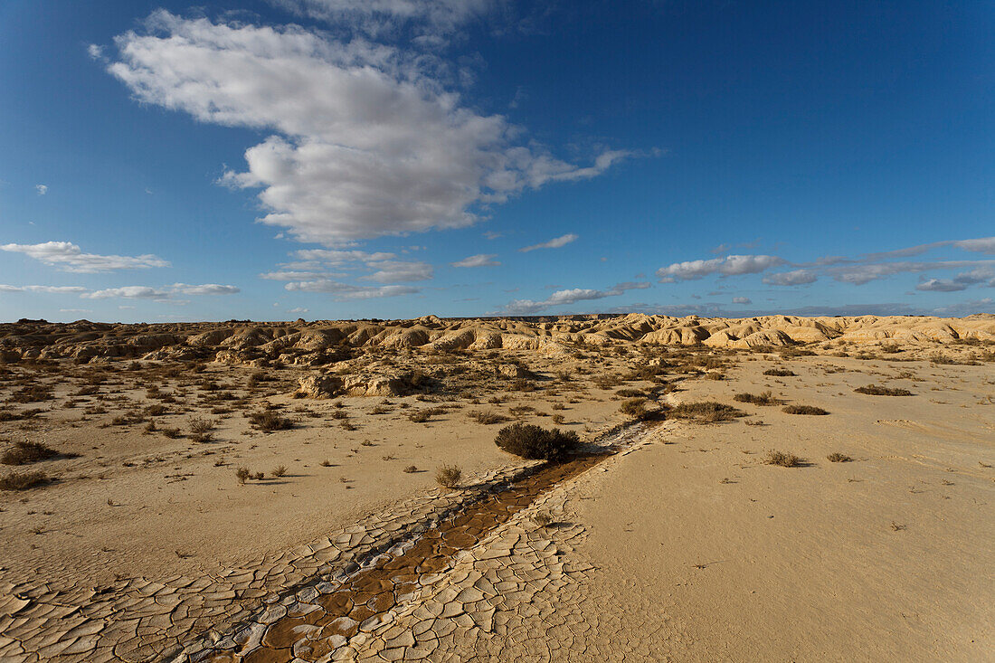 The desert Bardenas Reales, UNESCO Biosphere Reserve, province of Navarra, Northern Spain, Spain, Europe