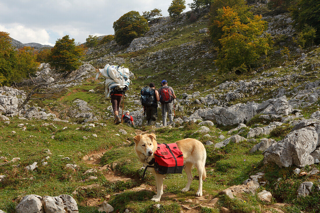 Wanderer und Hund des Hüttenwirts Ignacio, Schutzhütte Refugio Vega de Ario, Versorgungs-Transport, Westliche Picos de Europa, Parque Nacional de los Picos de Europa, Picos de Europa, Provinz Asturias, Principado de Asturias, Asturien, Nordspanien, Spanie