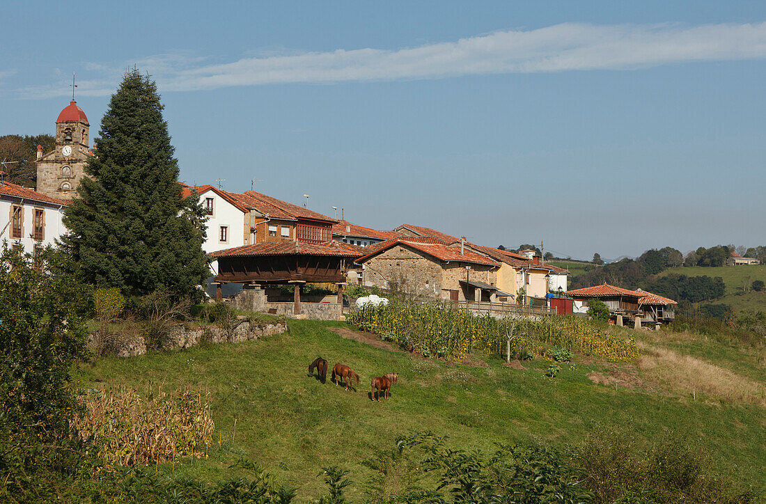 Horreo, traditionelles Speicherhaus, Maisspeicher, Torazo, bei Infiesto, Provinz Asturias, Principado de Asturias, Asturien, Nordspanien, Spanien, Europa