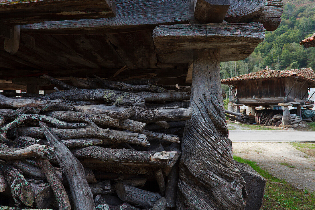 Horreo, traditionel storehouse, granary, Espinaredo, bei Infiesto, province of Asturias, Principality of Asturias, Northern Spain, Spain, Europe