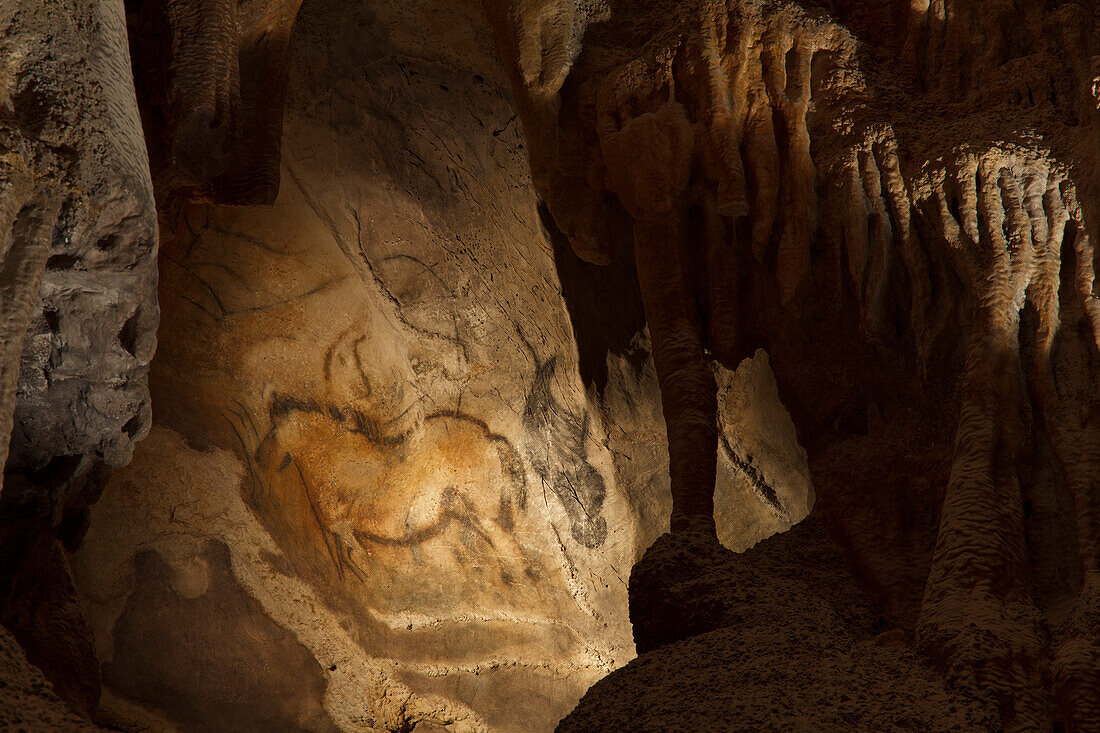 Horse, prehistoric painting, cave painting, about 15000 BC, Caballo del Camarin, Cueva de la Pena de Cadamo, cave, San Roman de Cadamo, near, Pravia, replica, Parque de la Prehistoria de Teverga, Teverga, Park of Prehistory in Teverga, province of Asturia