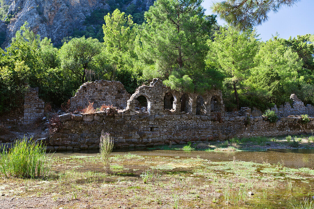 Ruins of the byzantine Basilica, ancient Olympos, lycian coast, Lycia, Mediterranean Sea, Turkey, Asia