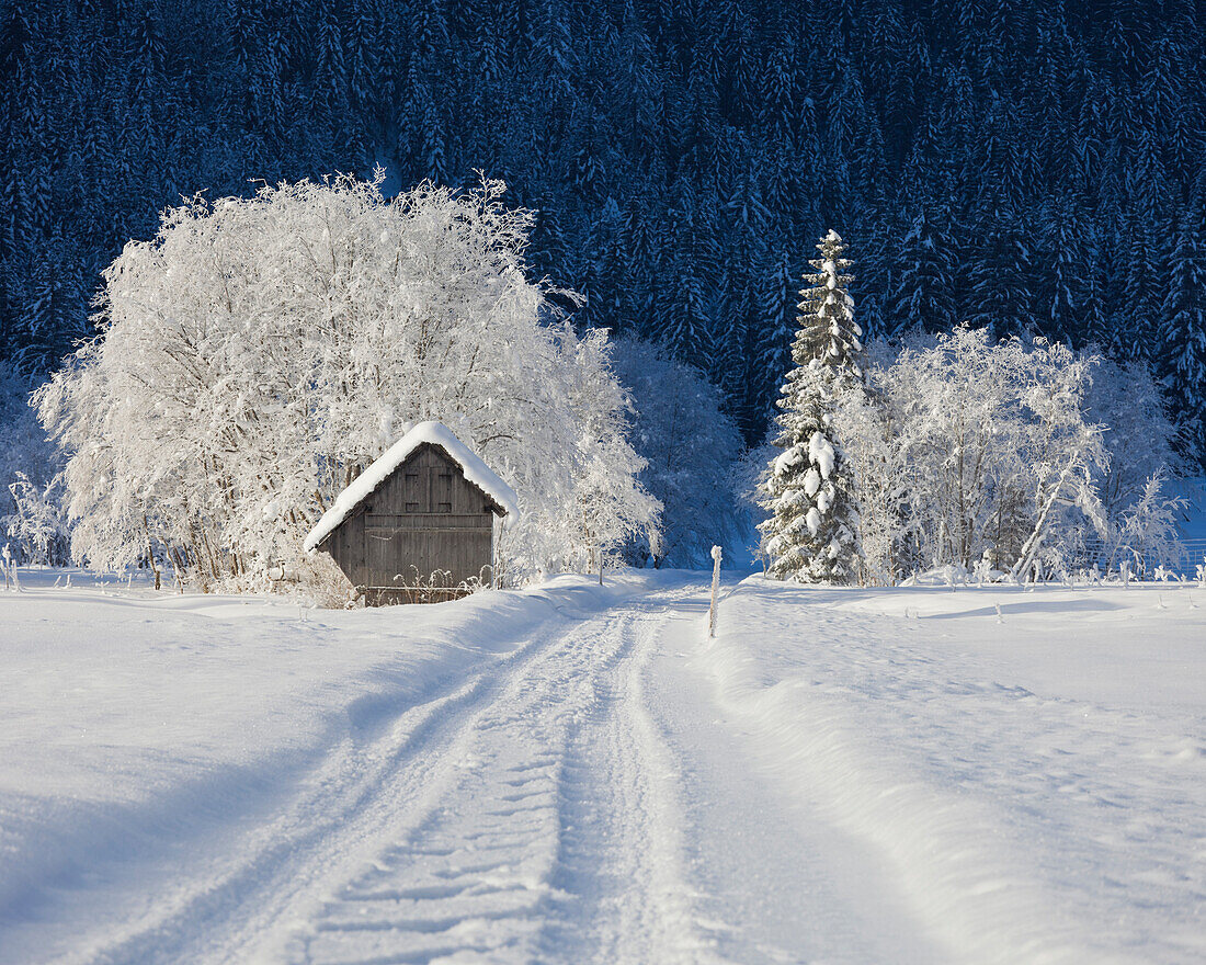 Verschneite Strasse und Holzhütte bei Rotmoos, Steiermark, Österreich, Europa