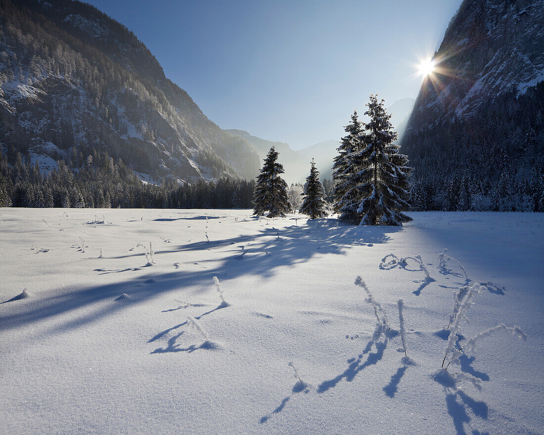 Verschneite Landschaft im Sonnenlicht, Gutenbrand, Rotmoos, Steiermark, Österreich, Europa