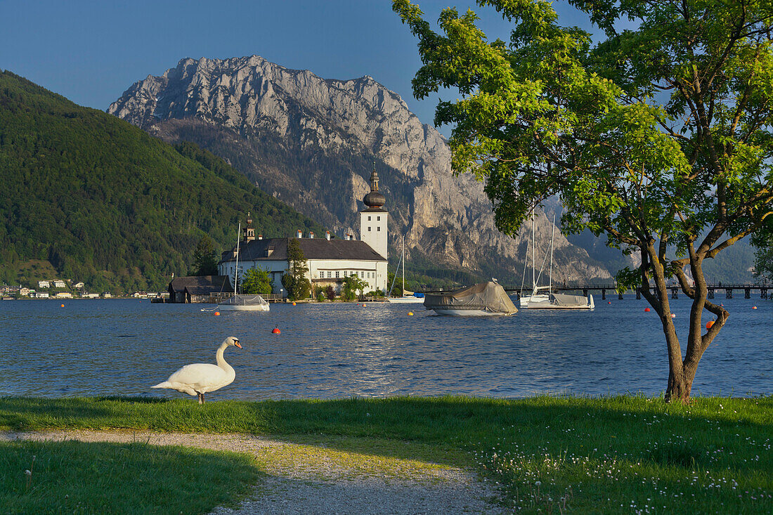 Schloss Orth am Traunsee, Traunstein, Oberösterreich, Österreich, Europa