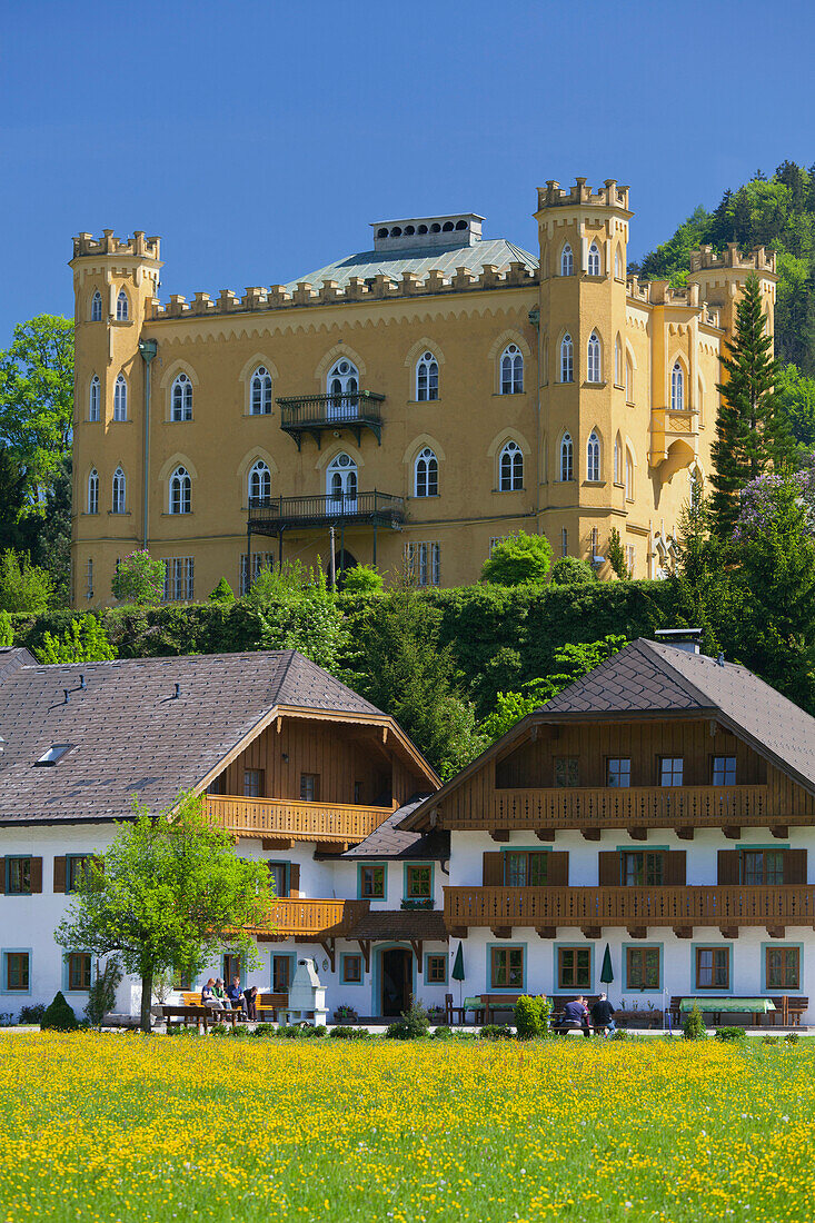 Farm houses in front of Huettenstein castle in the sunlight, Winkl, Salzkammergut, Salzburg, Austria, Europe