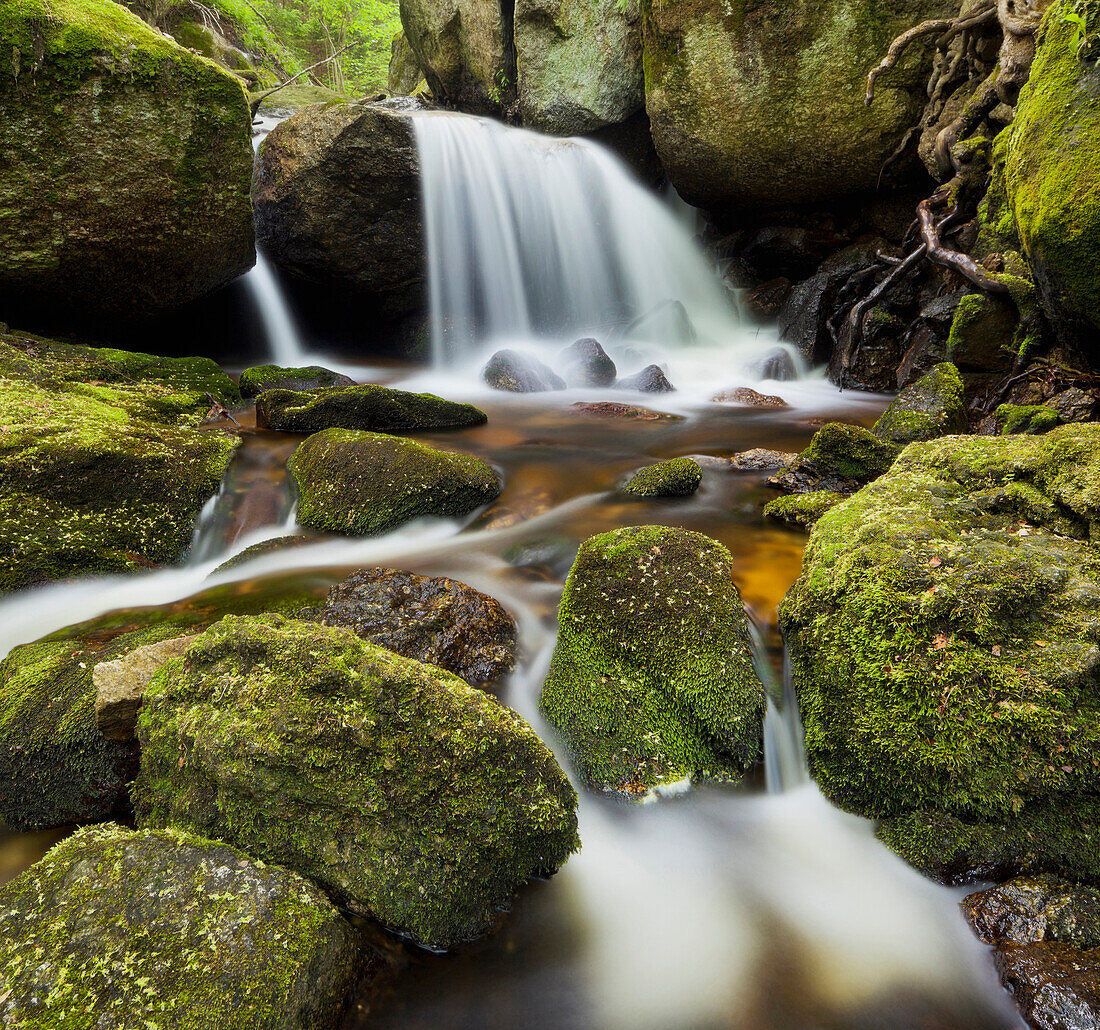 Wasserfall und Felsen in der Ysperklamm, Große Ysper, Weinsberger Wald, Niederösterreich, Österreich, Europa