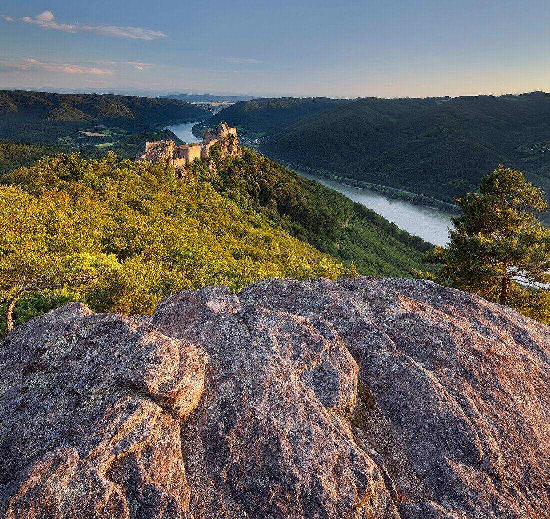 Aggstein castle ruin at Danube river in the evening light, Wachau, Lower Austria, Austria, Europe