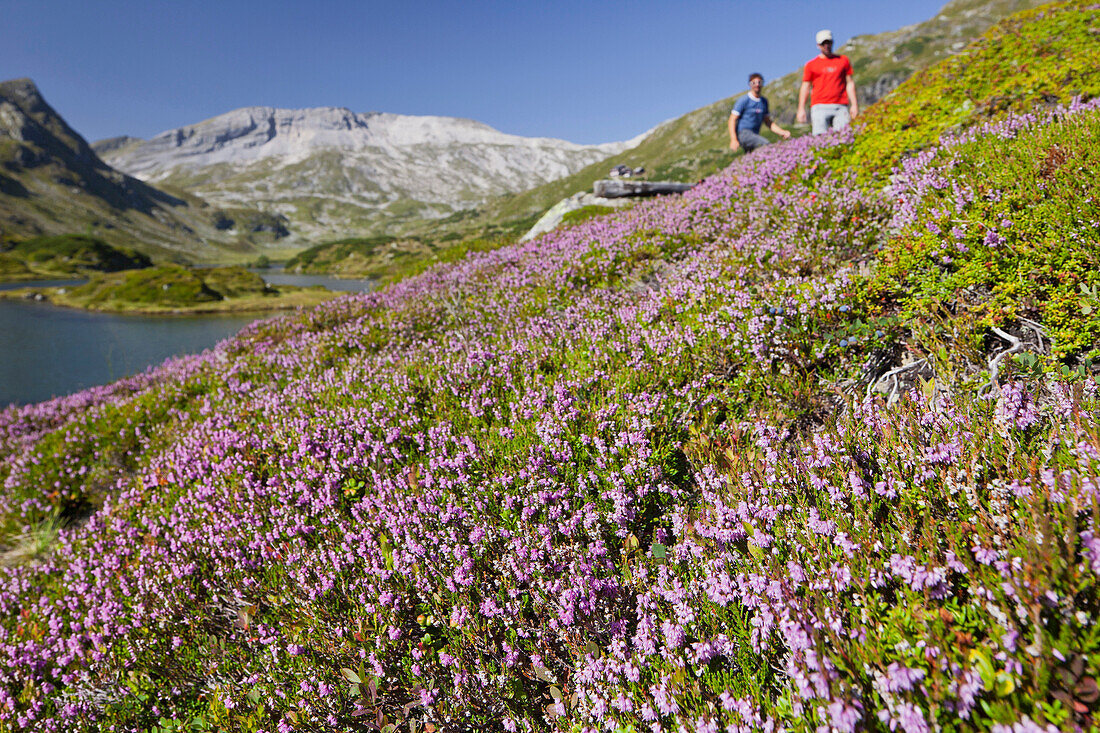 Hikers at Giglachsee lake, Steirische Kalkspitze, Schladminger Tauern, Steiermark, Austria