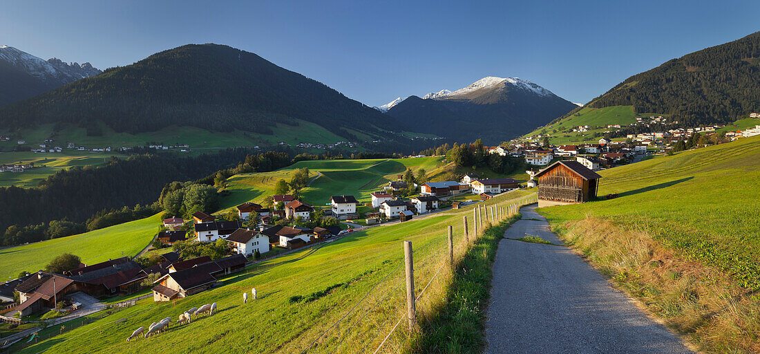 Schafe auf der Weide, Aigling bei Innsbruck, Tirol, Österreich