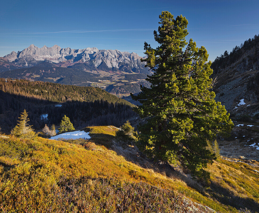 Gasselhöhe Reiteralm gegen Dachstein Südwand, Steiermark, Österreich