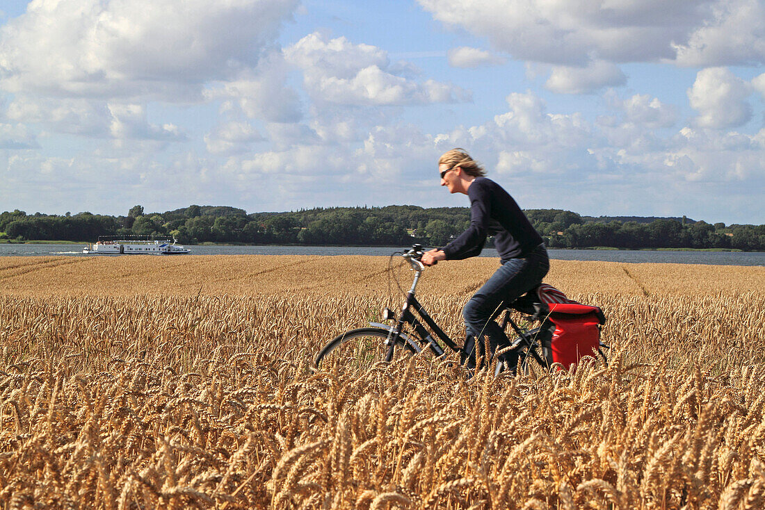 Fahrradfahrerin in einem Kornfeld, Südufer der Schlei, Schleswig-Holstein, Deutschland, Europa