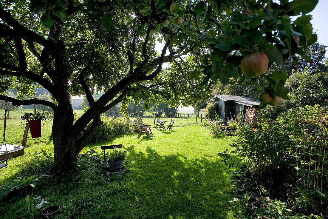 Der Garten des Ehepaares Chalupka, Hestoft, Schlei, Schleswig-Holstein, Deutschland, Europa