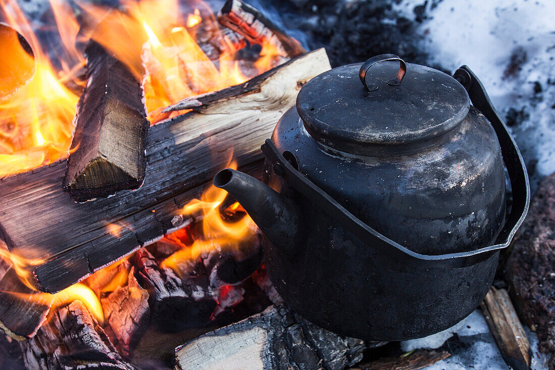 Teapot at campfire in winter, Lapland, Finland, Europe