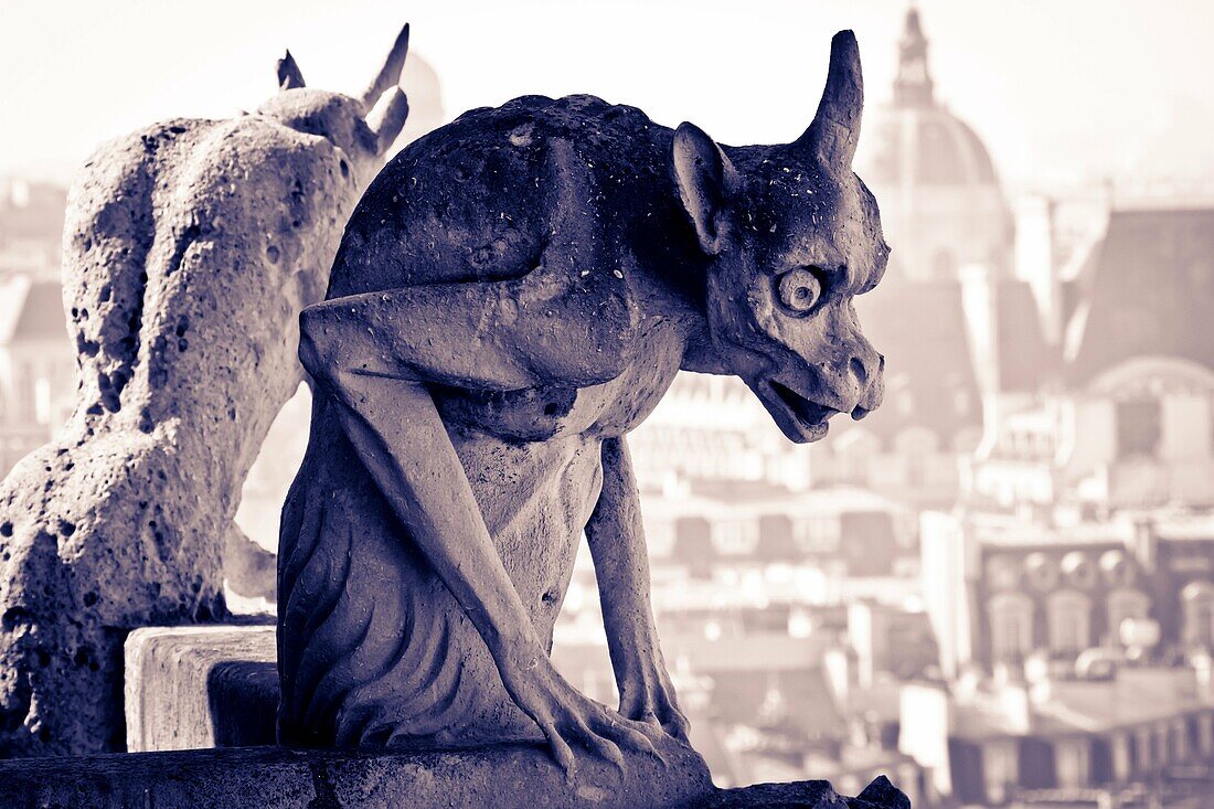 Gargoyle figure  Notre Dame Cathedral  Paris, France, Europe