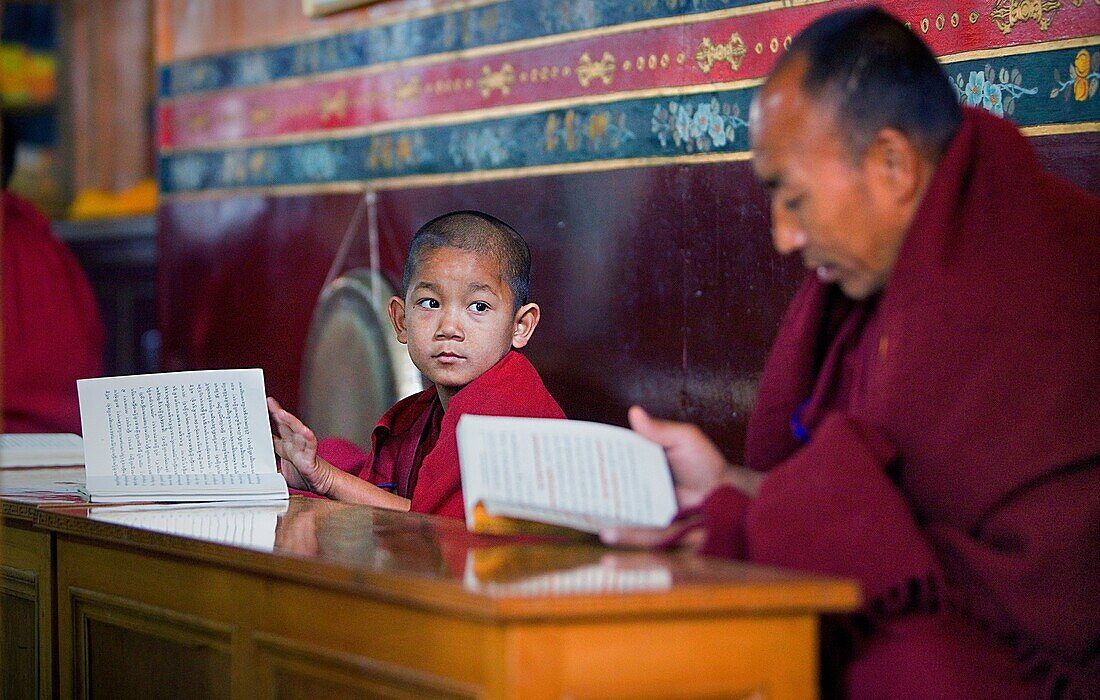 Puja, Monks praying, in Dip Tse Chok Ling Monastery McLeod Ganj, Dharamsala, Himachal Pradesh state, India, Asia