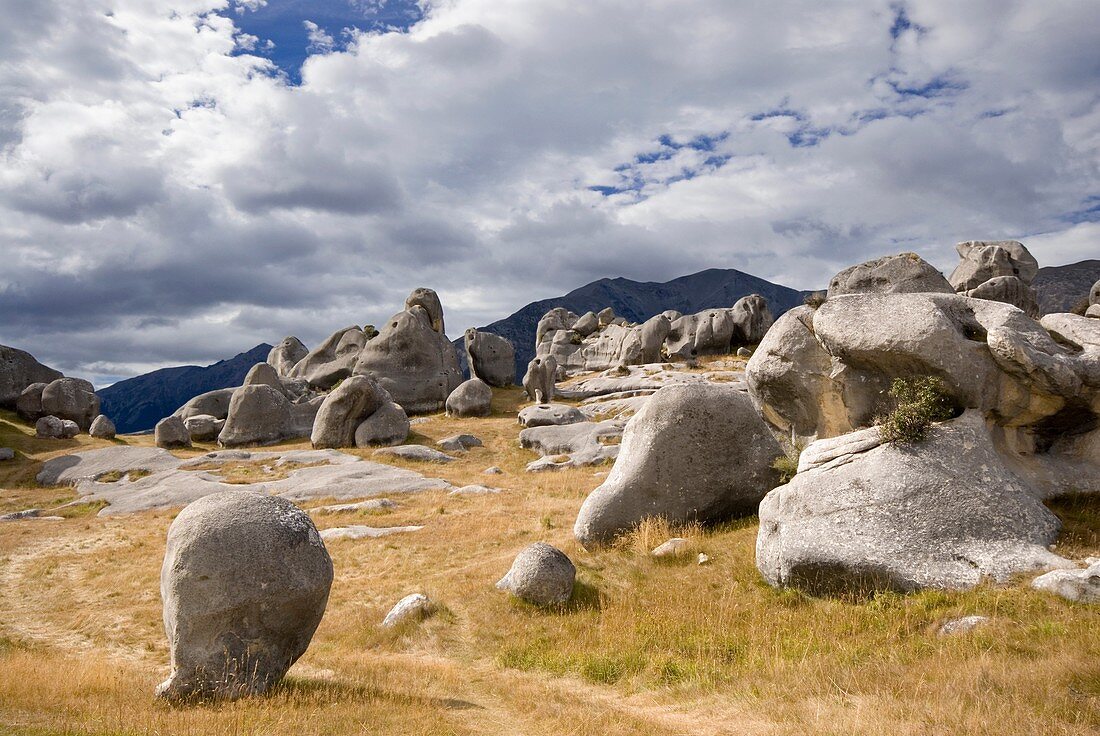 Unusual limestone rock formations at New Zealand´s Castle Hill Rocks