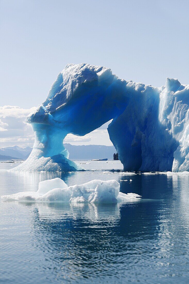 Icebergs calved from the LeConte Glacier just outside Petersburg, Southeast Alaska, USA  Pacific Ocean