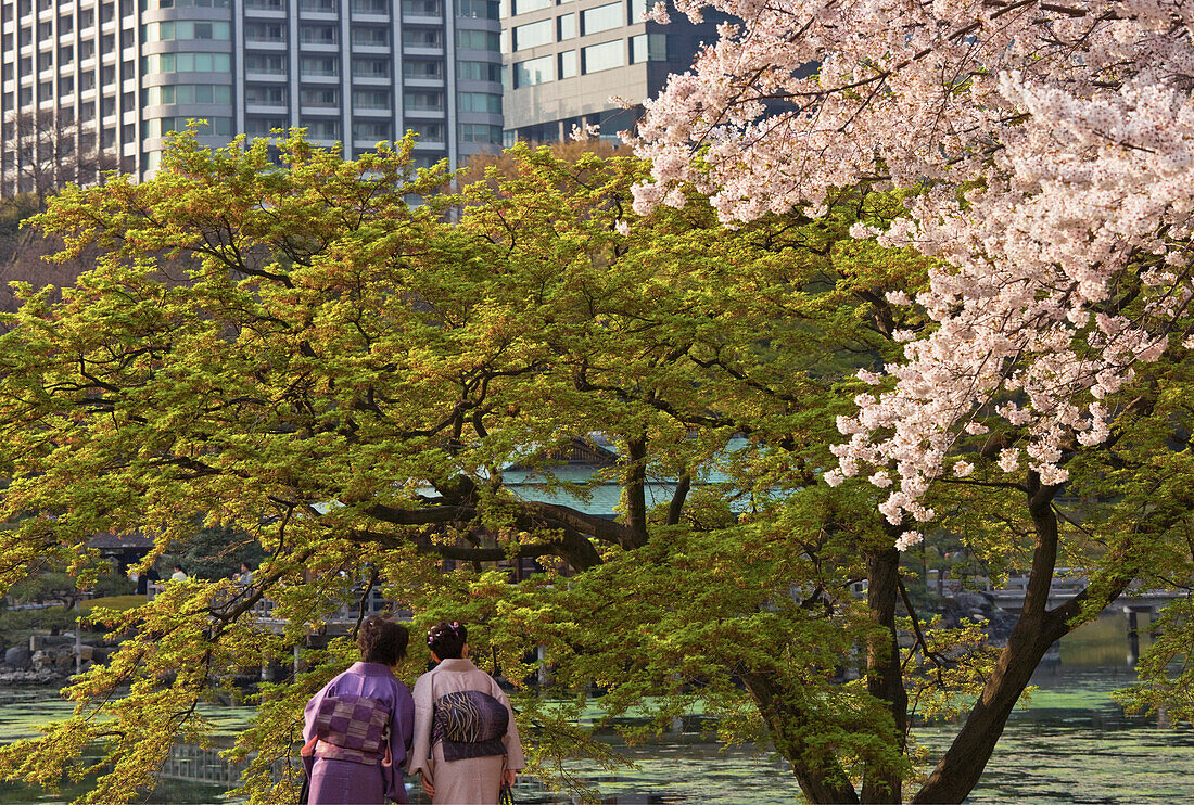 Two women in traditional kimono enjoy the fresh Spring foliage and cherry blossoms inside Hama-Rikyu Gardens, located in central Tokyo, Japan.