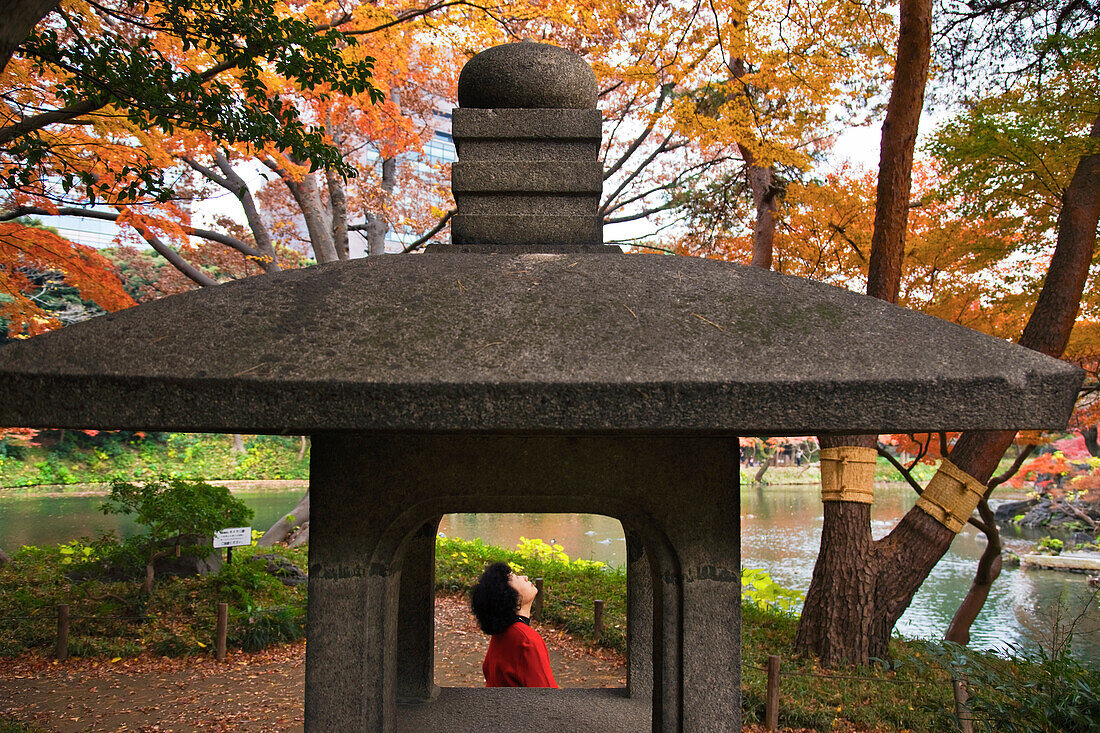 Seen through a stone lantern, a woman pauses to admire Japanese maple trees in bright autumn colors at Koishikawa Korakuen Gardens, an Edo Period Japanese garden located in the Bunkyo-ku district of Tokyo, Japan.