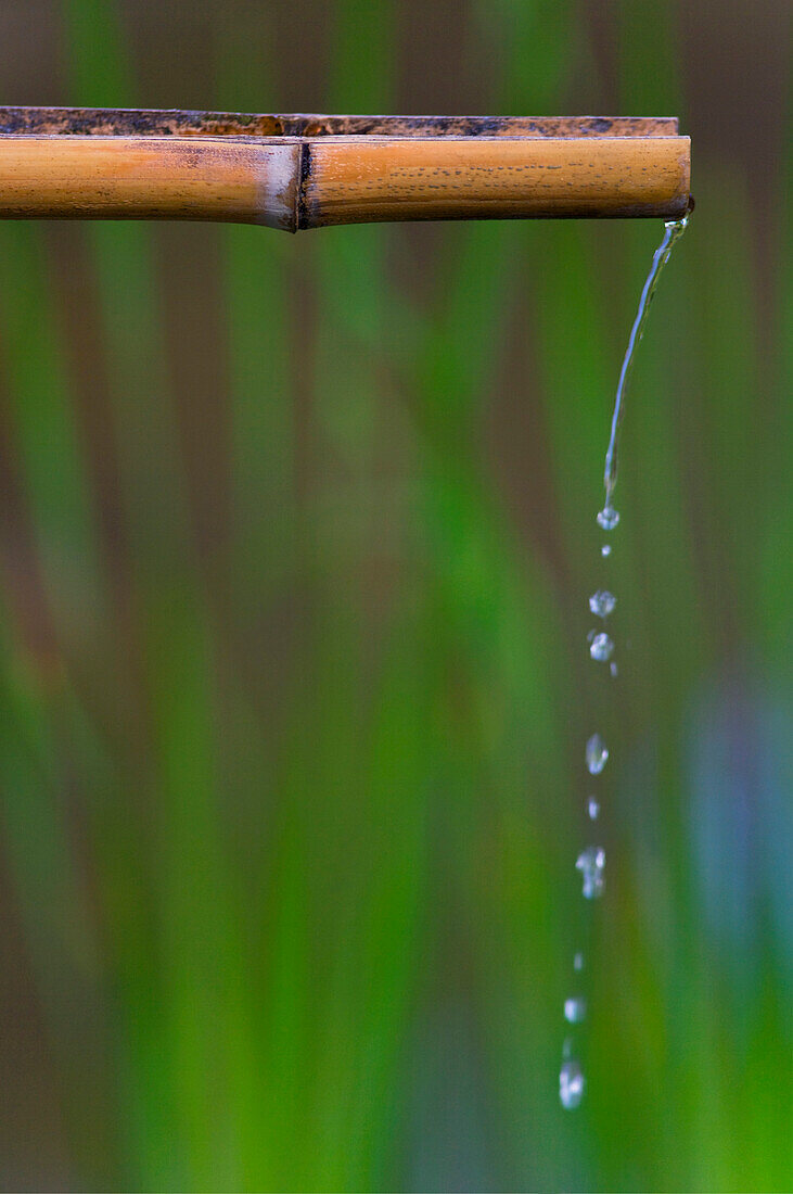 A detailed view reveals a bamboo water spout amid greenery of the traditional Japanese Garden inside Hinokicho Park at the new business and commercial complex, Midtown Tokyo, in the upscale Roppongi District of Tokyo, Japan.