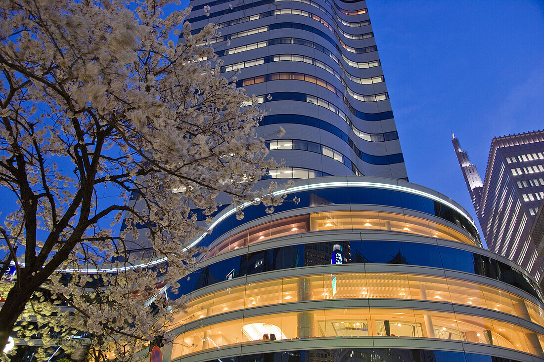 A cherry tree in full bloom accents the sleek architecture in Chanter Plaza at twilight in the Yurakucho District of Tokyo, Japan.
