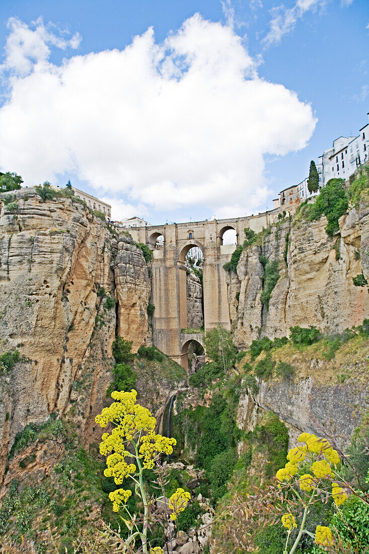 Tajo de Ronda, Ronda, Malaga province, Andalusia, Spain