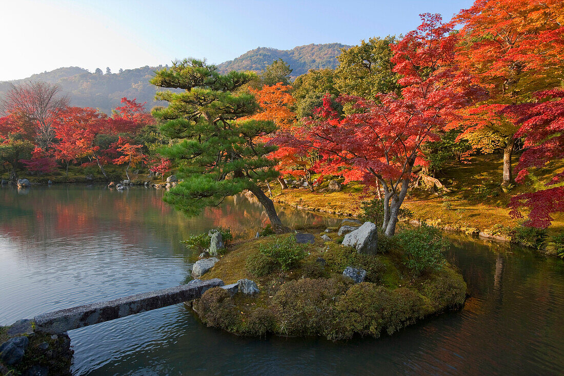 Early morning sunlight illuminates autumn foliage and reflections in the pond of Sogen Garden at Tenryuji Temple, located in the Arashiyama district of Kyoto, Japan.