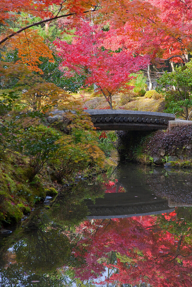 A wood-and-earthern bridge connects an islet in Shinji Pond in the Eastern Garden at Tojiin Temple, located in the northern part of Kyoto, Japan.
