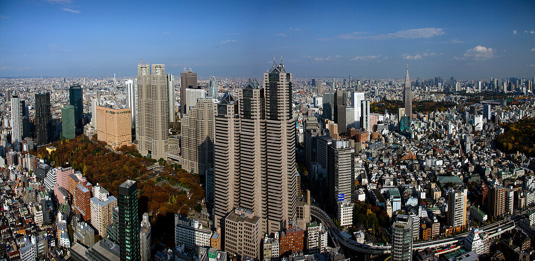 Japan-Nov. 09 Tokyo City Shinjuku District Skyline Panorama