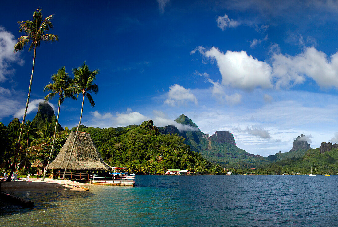 Tahiti-May 2009 Moorea Island (Society islands) Cook«s Bay