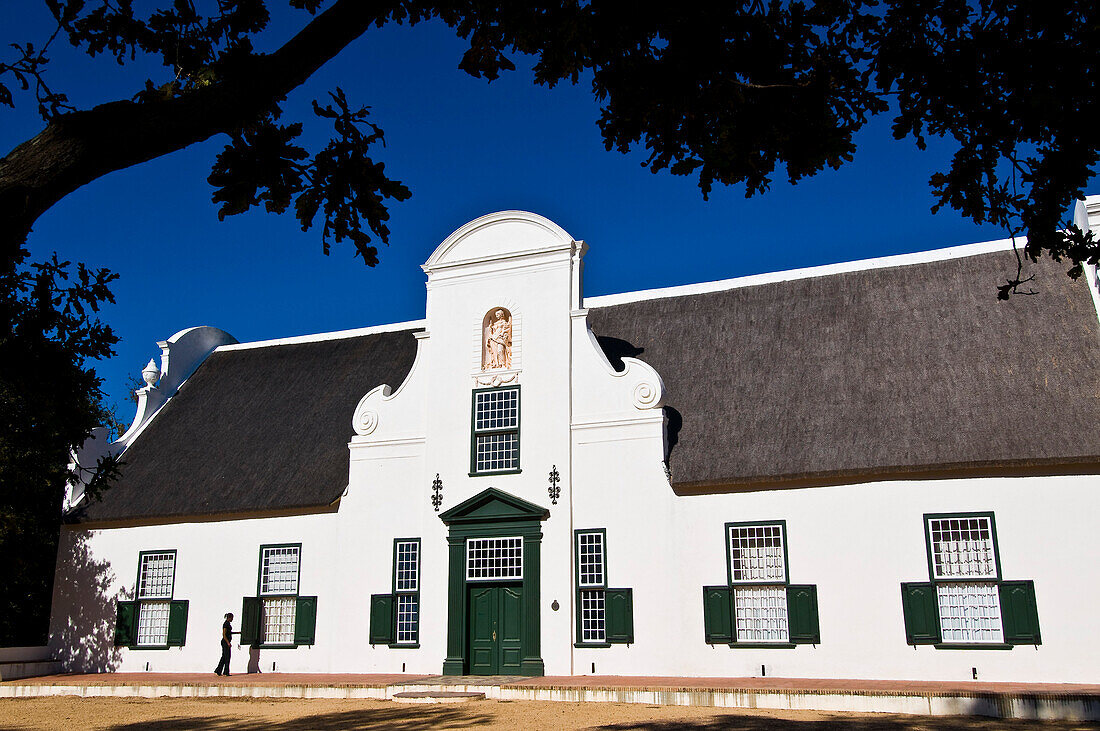 South Africa, Western Cape Province, Winelands, Constantia valley, Wine road, Groot Constantia Estate (1685)