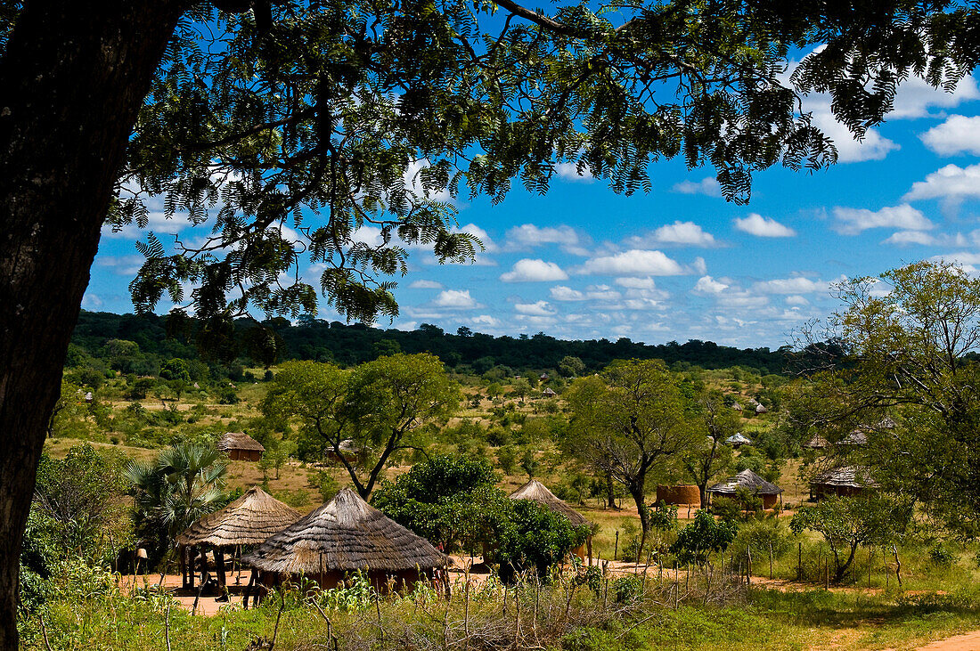 Africa, Zimbabwe, North Matabeleland province, the Ndebele village Monde