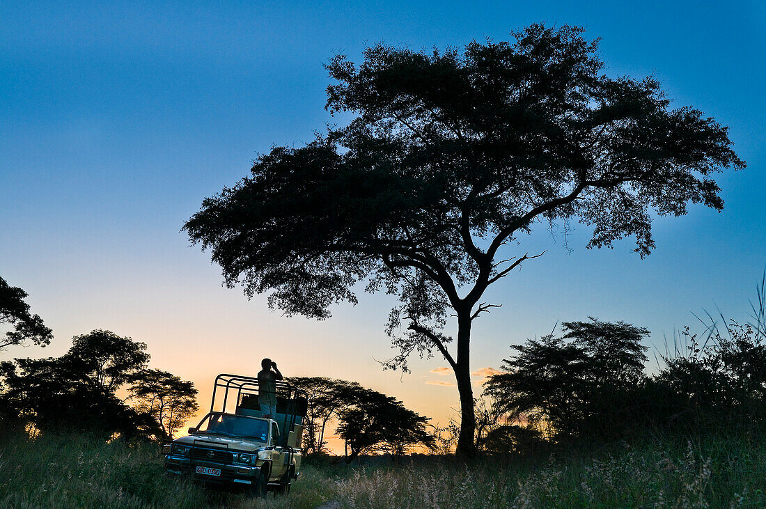 Africa, Zimbabwe, North Matabeleland province, Hwange National Park, safari