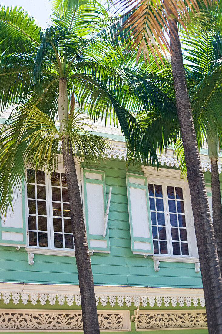 Close up of colonial house 's windows, green and withe front, palm trees, St Denis, Reunion Island, Indian Ocean, France