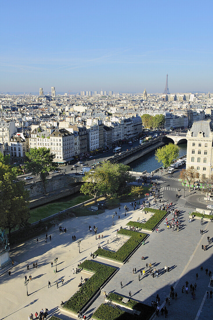 France, Ile-de-France, Capital, Paris, 5th, City center, plunging View(Sight) (seen since Notre-Dame)